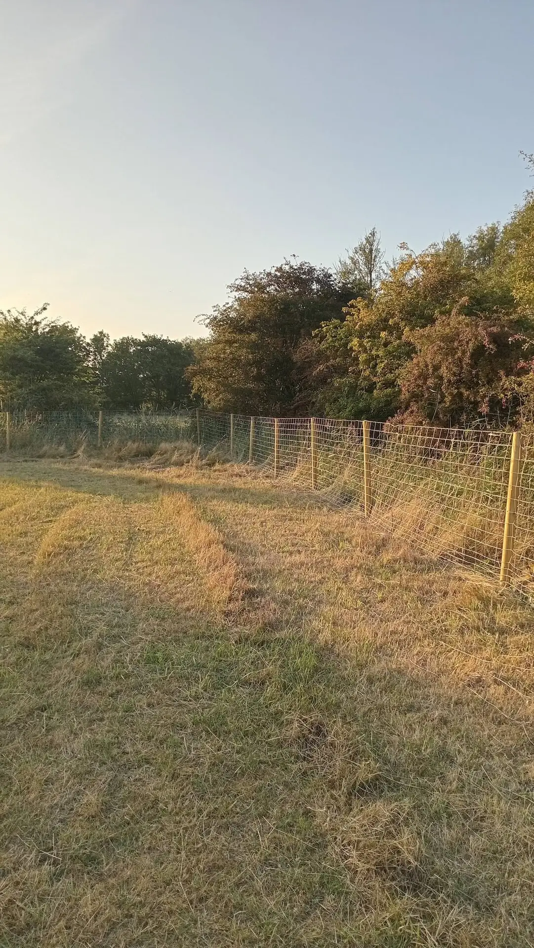 Field fencing